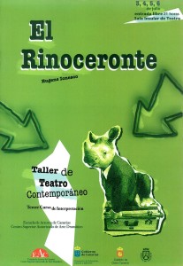 2008 - TT contemporaneo El rinoceronte-min